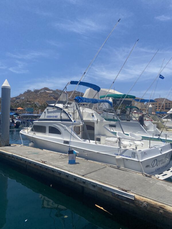 Dorado lV.  28 feet