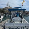 Dorado lV.  28 feet - Image 4