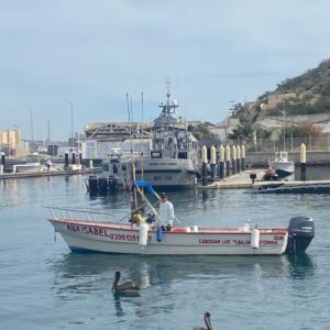 Ana Isabel – 23 ft Private Sport Fishing Boat in Cabo San Lucas